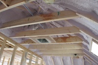 Foam Insulation