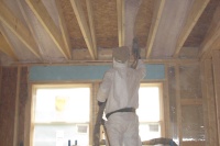 Foam Insulation